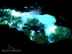 Ginnie springs Fl where the water is as clear as swimming... by Becky Kagan 